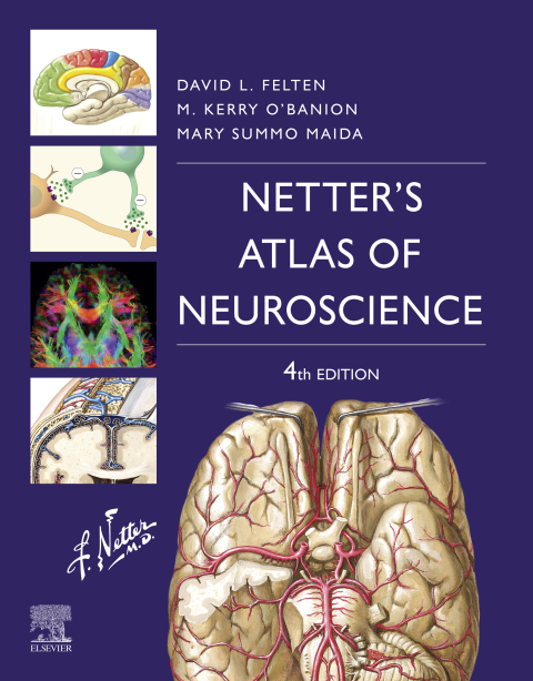 Netter's Atlas of Neuroscience 4th Edition